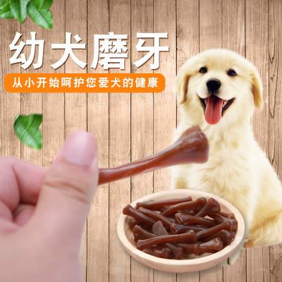 小狗狗磨牙的东西怎么办