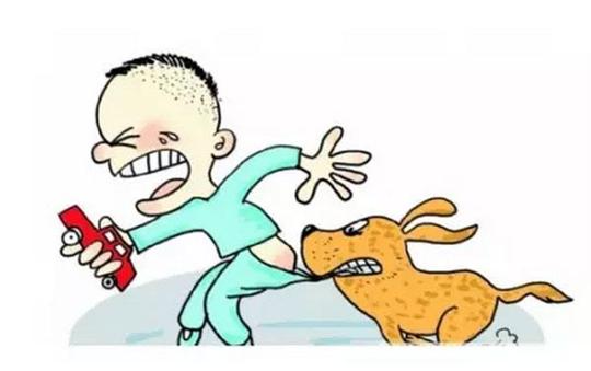 怎么训小狗不乱咬东西