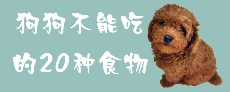 狗狗不能吃的15种东西