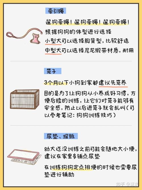 养狗必须准备的东西