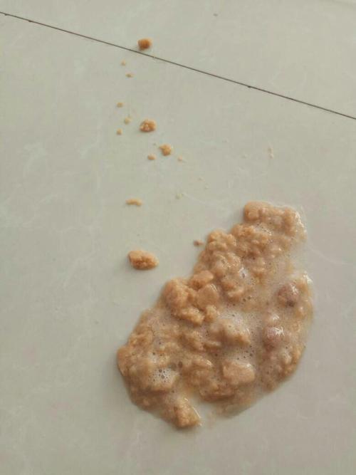 狗狗这两天吃东西总吐