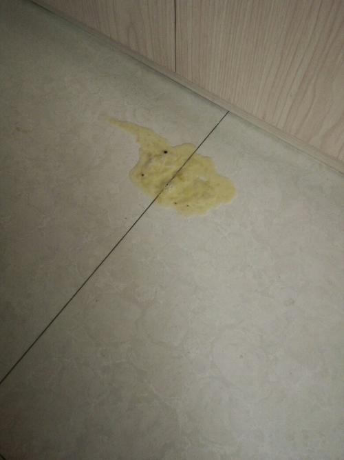 狗狗拉泡沫一样的东西怎么办