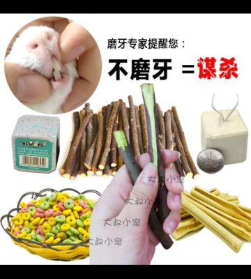 兔子磨牙的东西怎么办