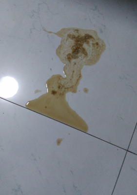 狗狗干呕吐不出东西怎么回事怎么办