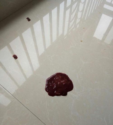 小哈士奇吃硬东西拉血该怎么办