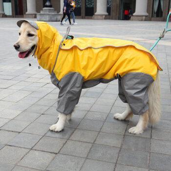 狗狗背东西衣服