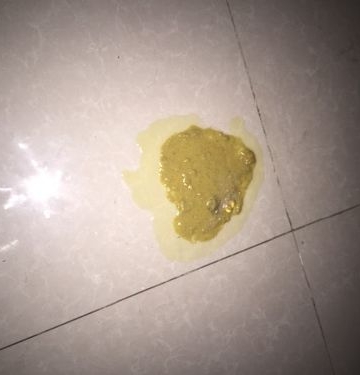幼犬打嗝 吃东西呕吐