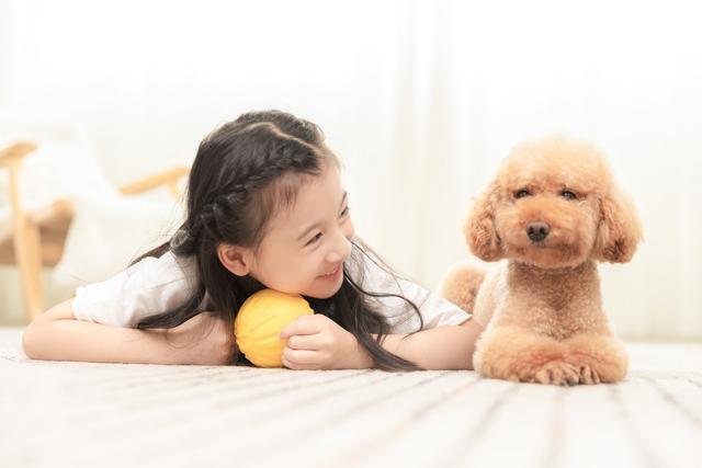 怎么训练宠物叫妈妈