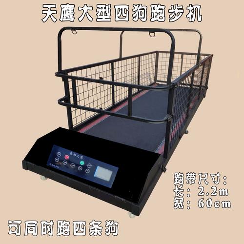 如何训练狗跑步机