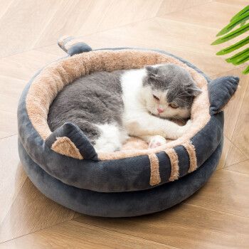 怎么训练猫进窝