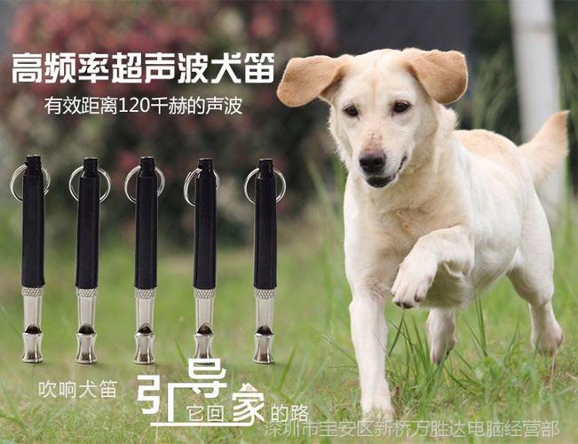 狗狗训练器用法