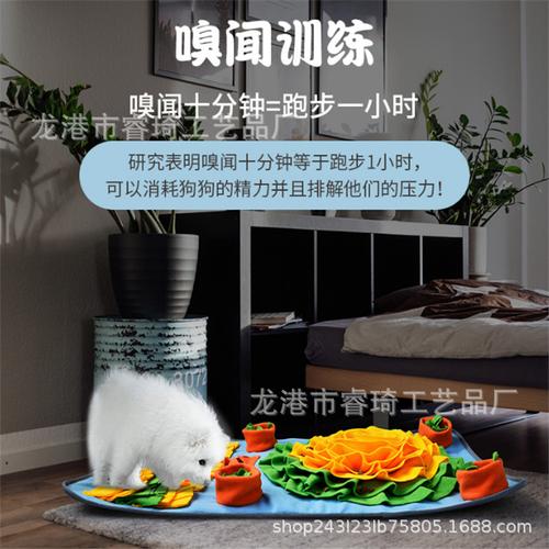 嗅怎么训练