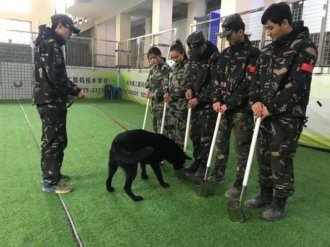 西安犬类训练学校