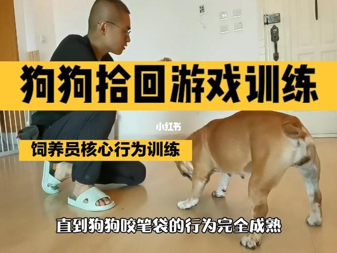 训练狗狗寻回游戏