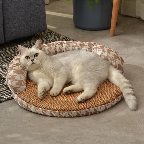 怎么训练猫在窝里睡