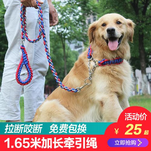怎么训练狗跟着链子走