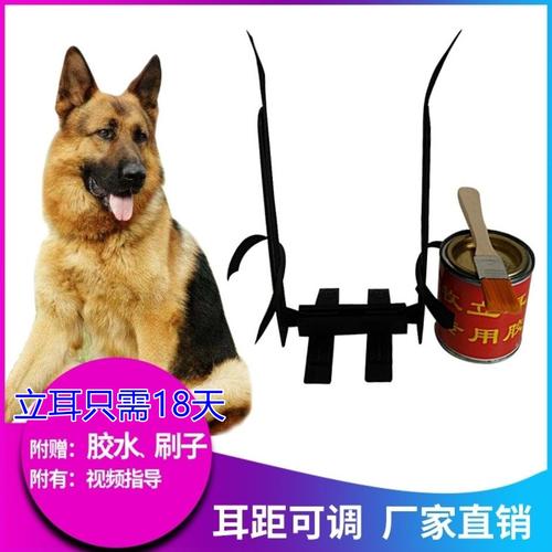 马犬训练用品图片大全
