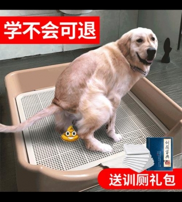 如何训练狗去厕所拉屎
