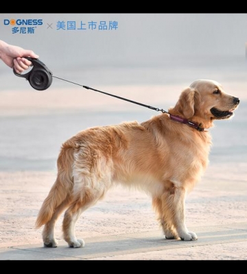 训练狗狗带狗链