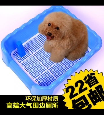 训练一个月的狗 厕所