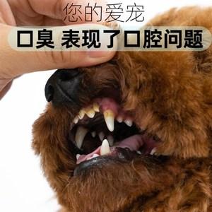 狗狗嘴巴臭用什么药