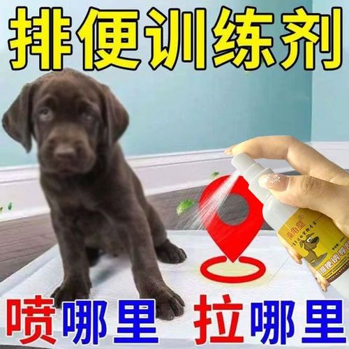 狗狗拉黄尿吃什么药