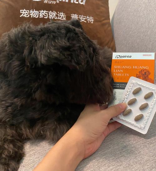 狗狗有妇科病吃什么药