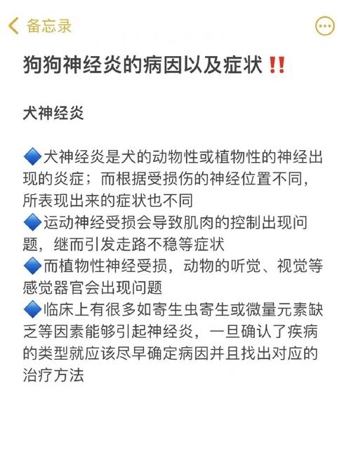 狗狗神经症状怎么治疗