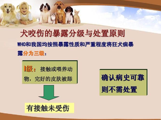 如何预防咬伤