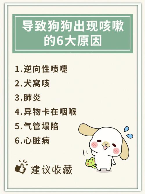 狗狗咳咳什么原因
