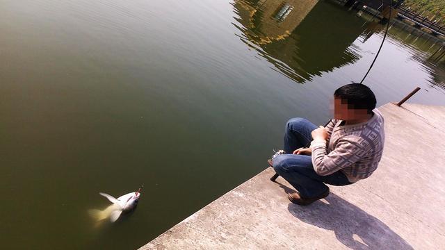 如何正确地遛鱼