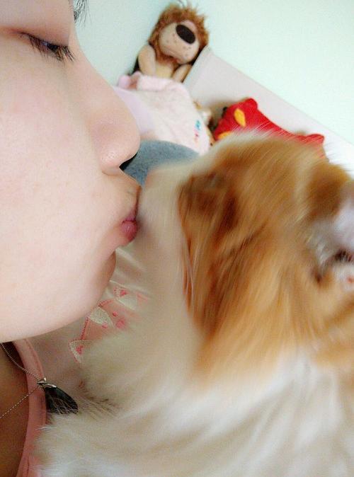 被小狗亲了嘴代表什么意思