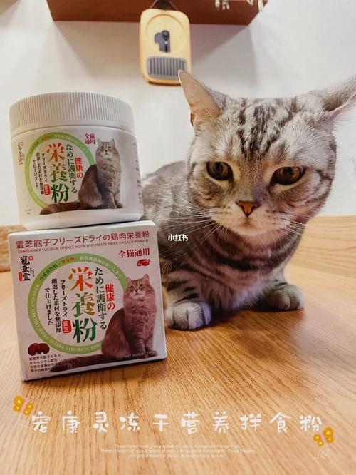 猫咪吃营养粉有什么好处