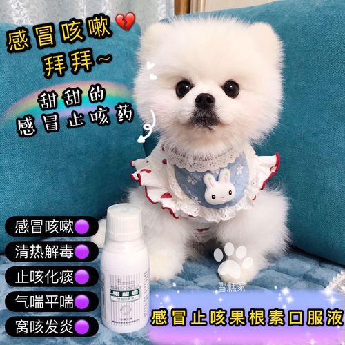 狗狗喘气流鼻涕用什么药
