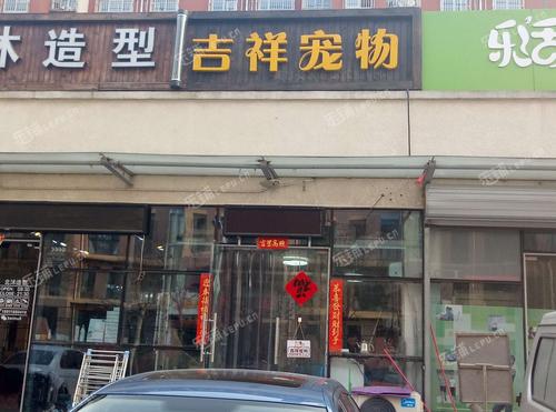 宠物店在什么地方