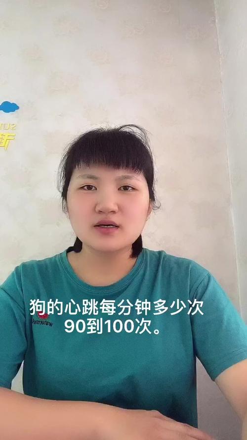 狗狗心率偏低怎么办