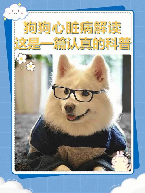 狗狗心跳很慢怎么回事
