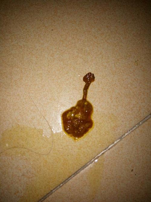 狗狗的粪便能做什么