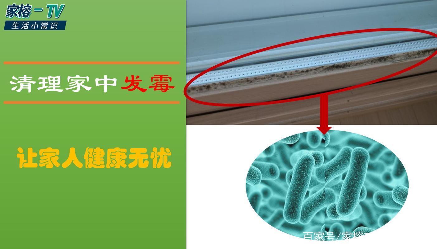 如何避免家里霉菌