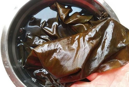 如何正确煮海带