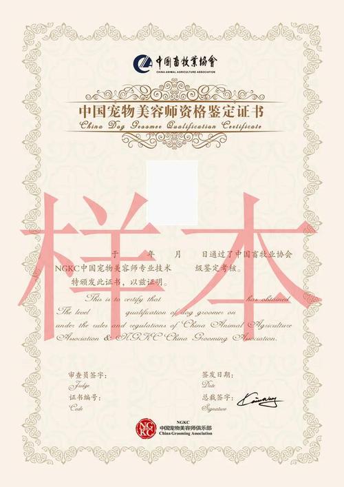 初级宠物美容师考什么内容