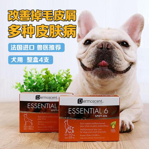 狗狗皮肤过敏吃什么