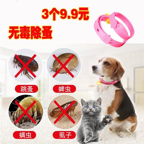 狗用宠物除蚤项圈怎么戴
