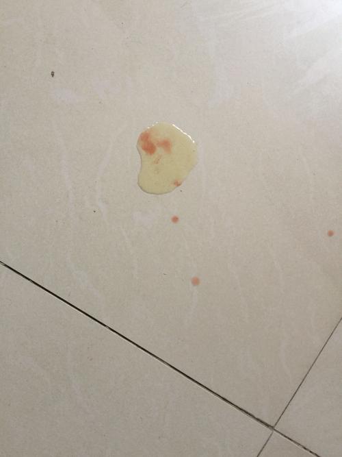 狗狗尿血水什么原因