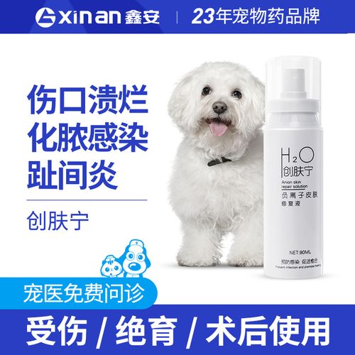 狗狗有伤口应该吃什么药