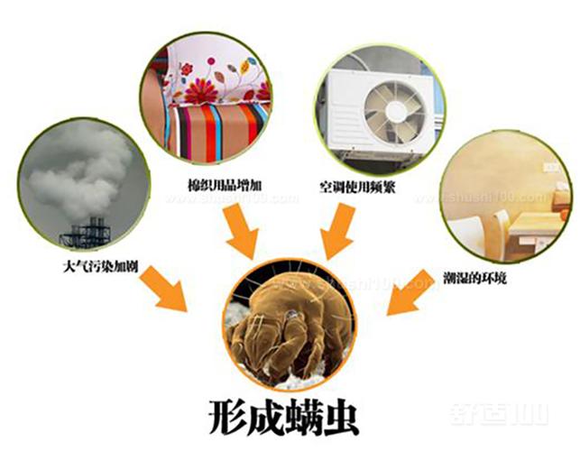 如何正确地除螨