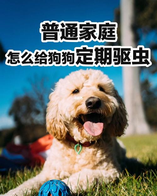 狗狗什么时候驱虫最好