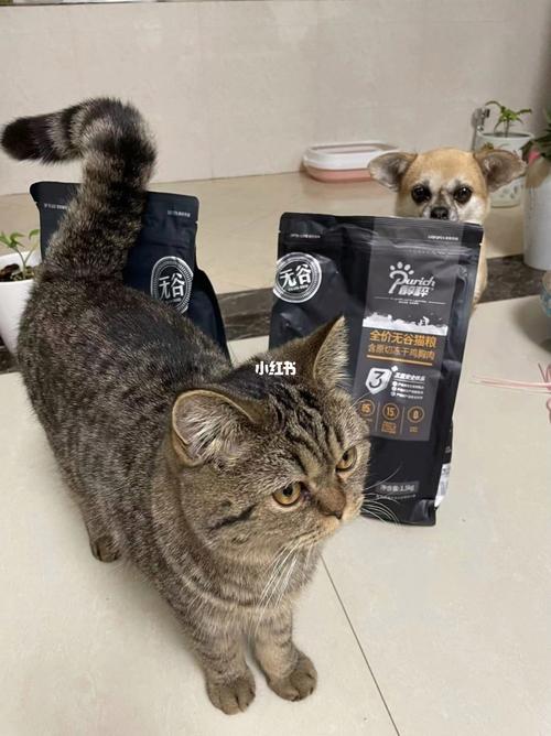 猫粮和狗粮有什么区别
