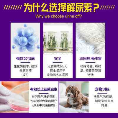 狗狗尿素高说明什么作用