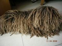 幼犬怎么养沙皮犬